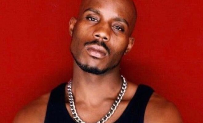 DMX Pets