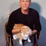 Daniel Craig's pet Solomon