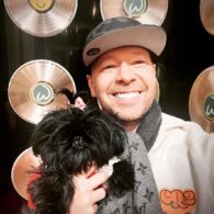 Donnie Wahlberg's pet Lady