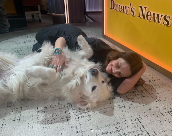 Drew Barrymore retriever dog Lucy