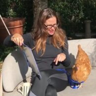 Jennifer Garner's pet Chickens with Celebrity Names