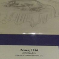 Jimi Hendrix's pet Prince