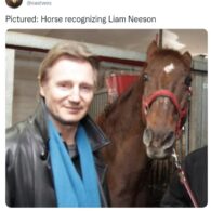Liam Neeson's pet Horse