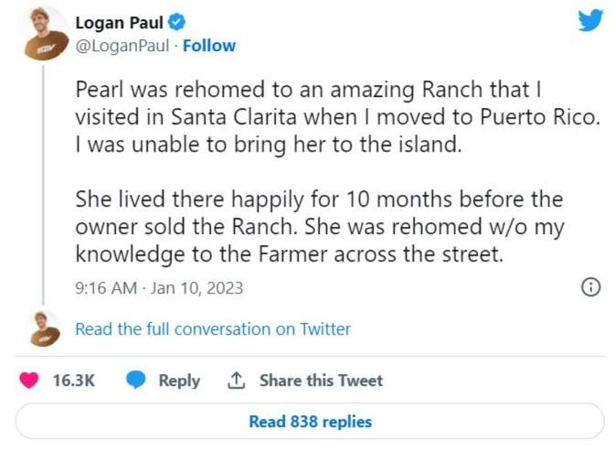 Logan Paul tweet about abandoned pig Pearl getting rescued