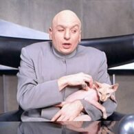 Mike Myers' pet Mr. Bigglesworth (Ted Nude-Gent)