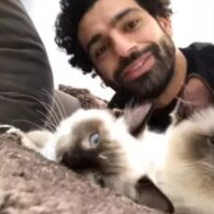 Mohamed Salah's pet Siamese Cats
