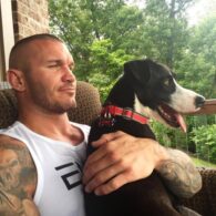 Randy Orton's pet Spike