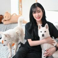 Tiffany Young's pet Prince Fluffy, Princess Fluffy, Saeromie and Minnie