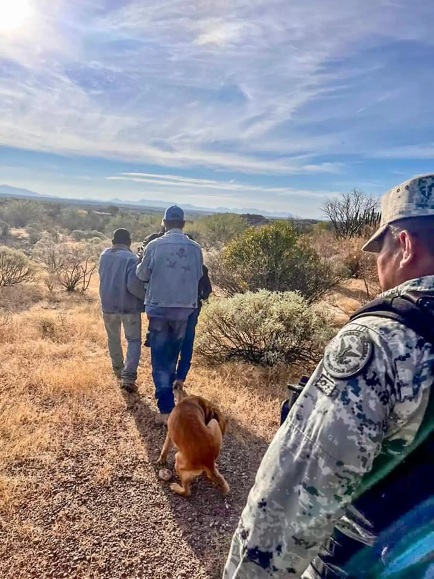 84-Year-Old Lost in the Desert Saved by His Dog's Unconditional Love