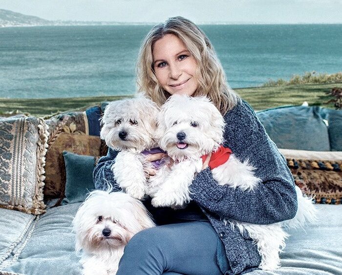 Barbra Streisand Cloned Dogs