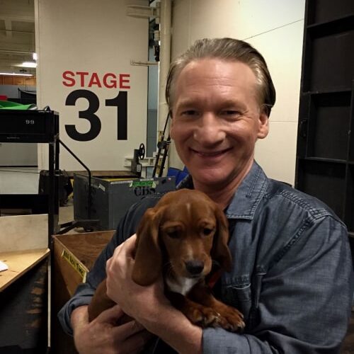 Bill Maher Pets