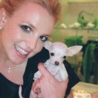 Britney Spears' pet Lucky