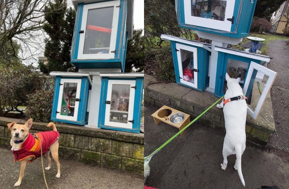Free Dog Library in East Vancouver, BC