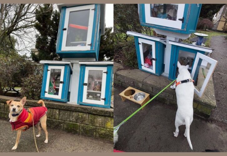 "Dog Library" in Vancouver Offers Free Dog Supplies, Delights the Local Community