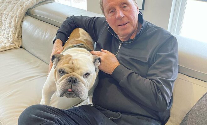 Harry Redknapp Pets