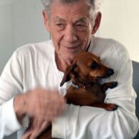 Ian McKellen's pet Dog and Cat Lover