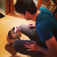 Matthew Daddario's pet Bulldog