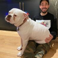 Mike Shinoda's pet Chester