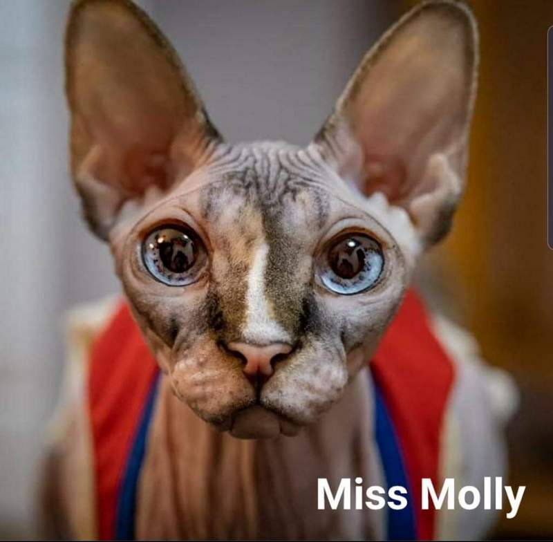 Miss Molly Munchkin
