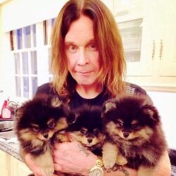 Ozzy Osbourne Pets