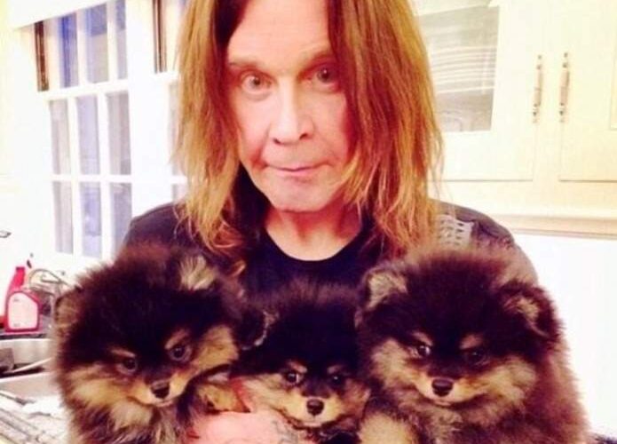 Ozzy Osbourne Pets