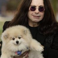 Ozzy Osbourne's pet Little Bit