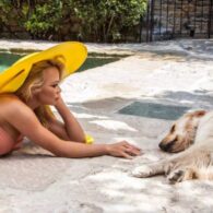 Pamela Anderson's pet Five Dogs
