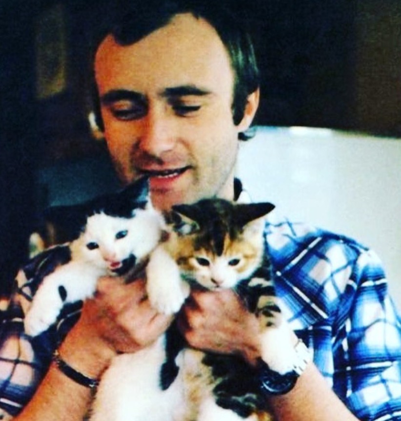 Phil Collins Holding Cats