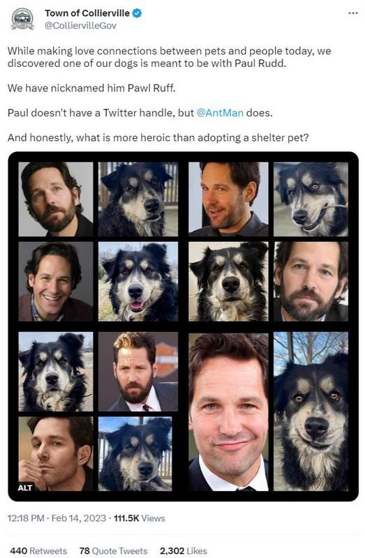 Rescue Dog Pawl Ruff Tweet trying to get adopted by Paul Rudd