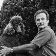Robin Williams' pet Kiwi