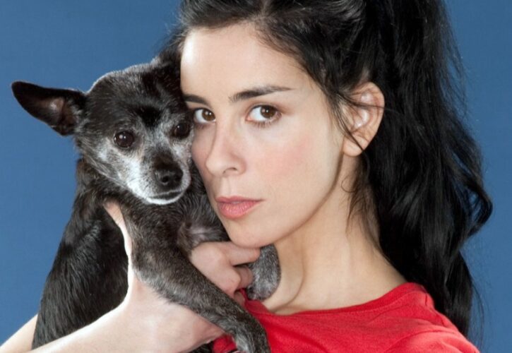 Sarah Silverman Pets