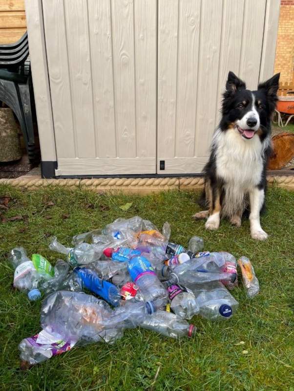 Scruff the Eco-Dog that recycles plastic bottles