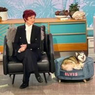 Sharon Osbourne's pet Elvis