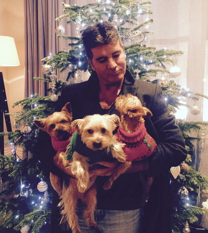 Simon Cowell Dogs Squiddly, Diddly and Freddy