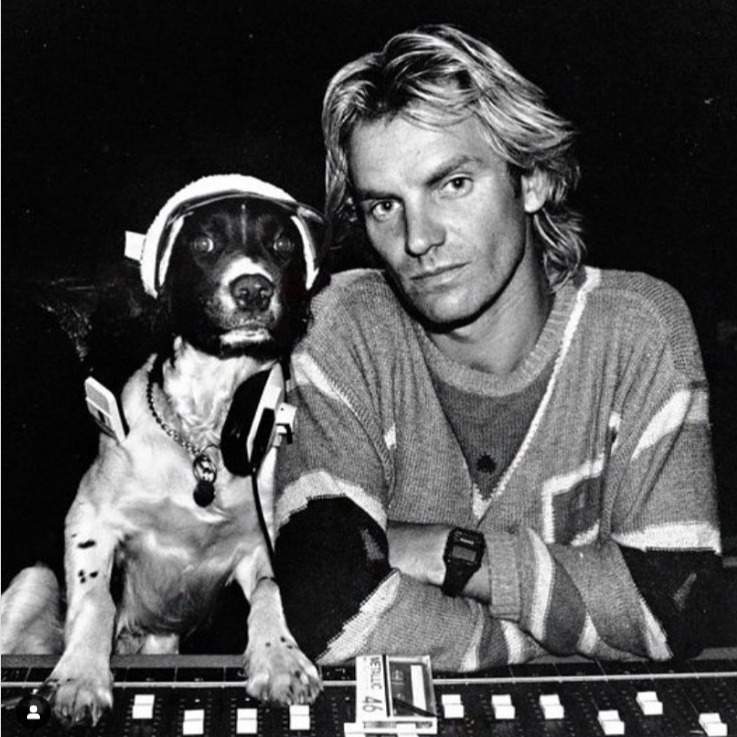 Sting's dog named William 1980s