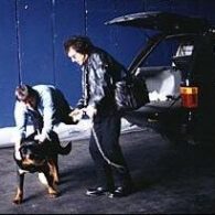 Tony Iommi's pet Dogs