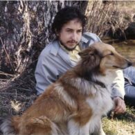 Bob Dylan's pet Collie