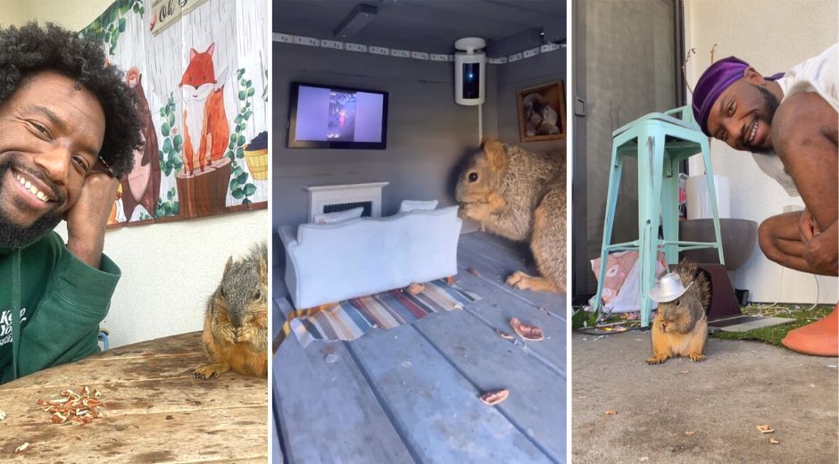 Meet Derrick Downey Jr The Squirrel Whisperer Celebrity Pets