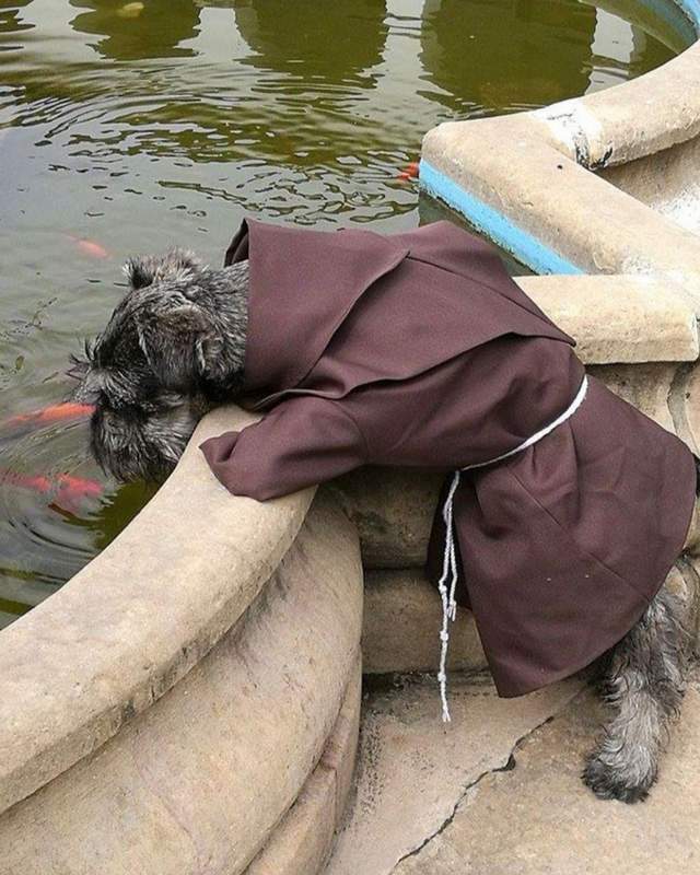 Friar Moustache preaching to fish