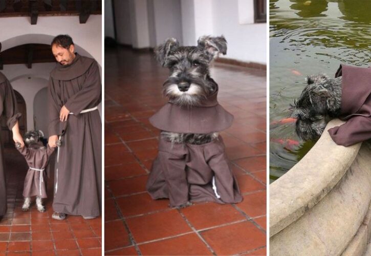 Friar Moustache the Doggy Monk Will Convince You to Join a Monastery