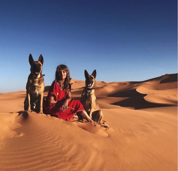 Halle Berry with John Wick 3 Belgian Malinois Dogs