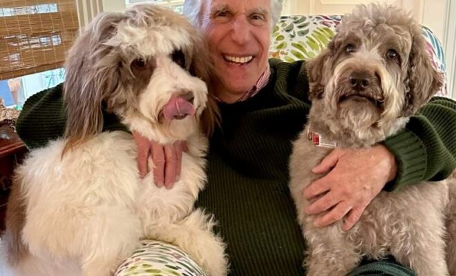 Henry Winkler Pets