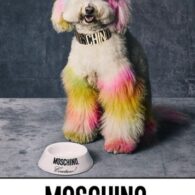 Jeremy Scott's pet Moschino Dog Clothing Line