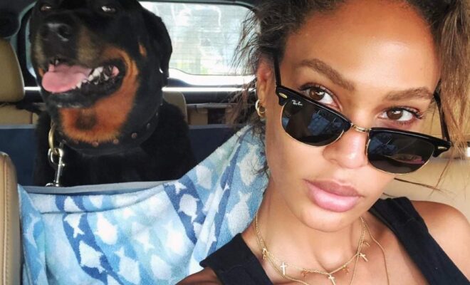 Joan Smalls Pets