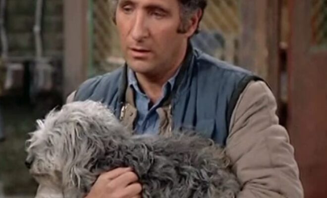 Judd Hirsch Pets