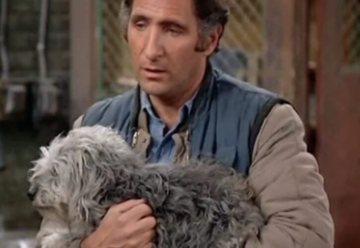 Judd Hirsch Pets