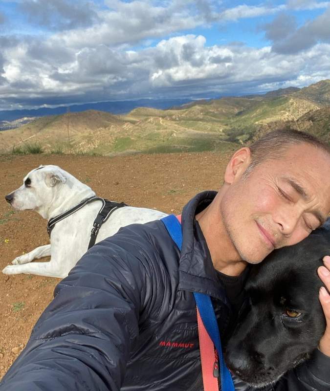Mark Dacascos rescue dogs Fred and Ruby