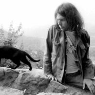 Neil Young's pet Cat