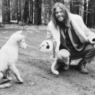 Neil Young's pet Dog