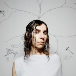 PJ Harvey Pets